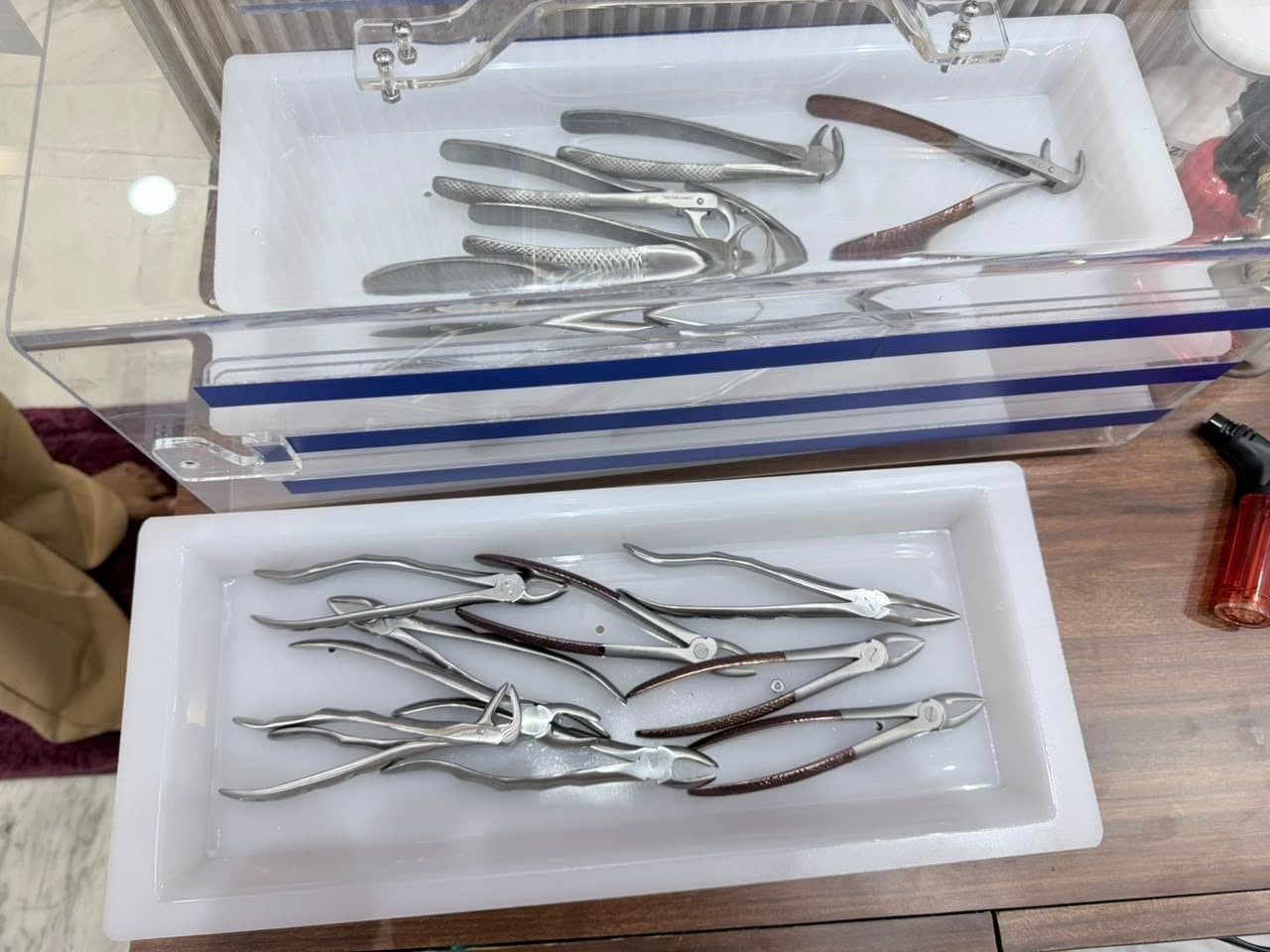 Extraction Forceps Set